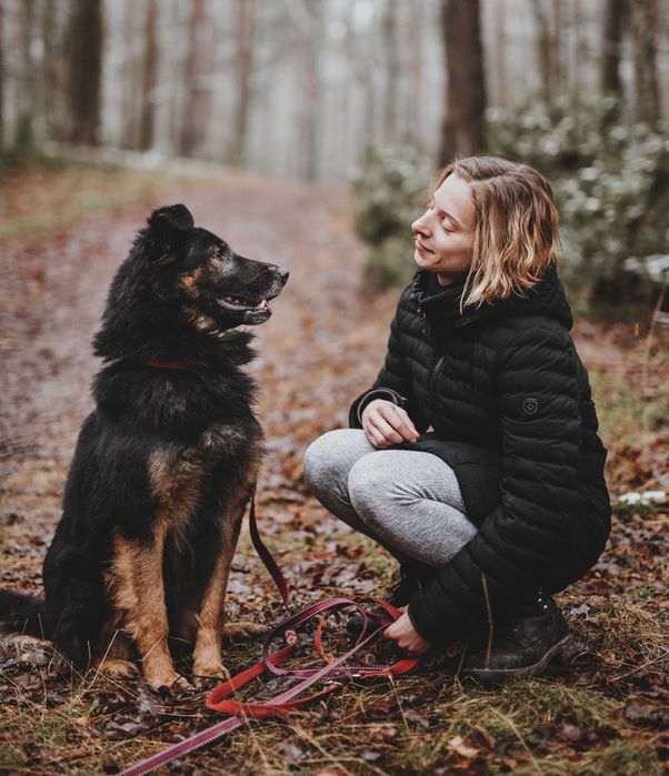 Behawiorysta psów i kotów/ opieka nad problematycznymi psami