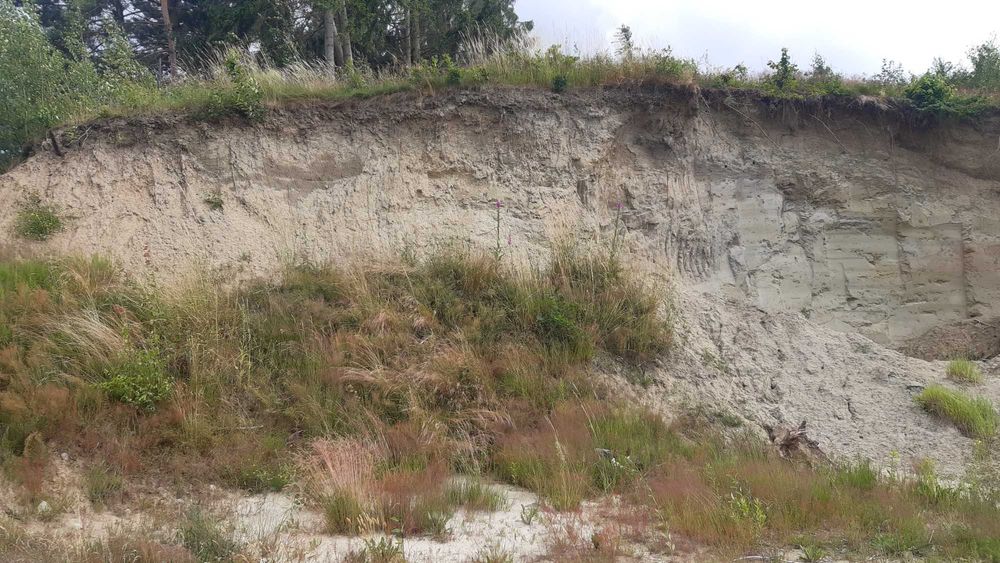 Dużą ilość ziemi oddam N.M.L.