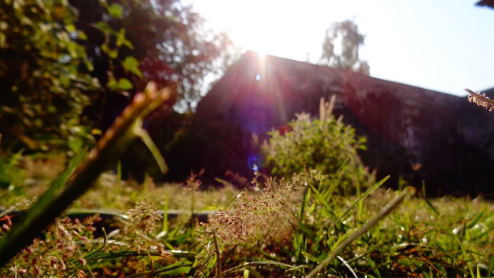 Sony W-830 в ІДЕАЛІ!