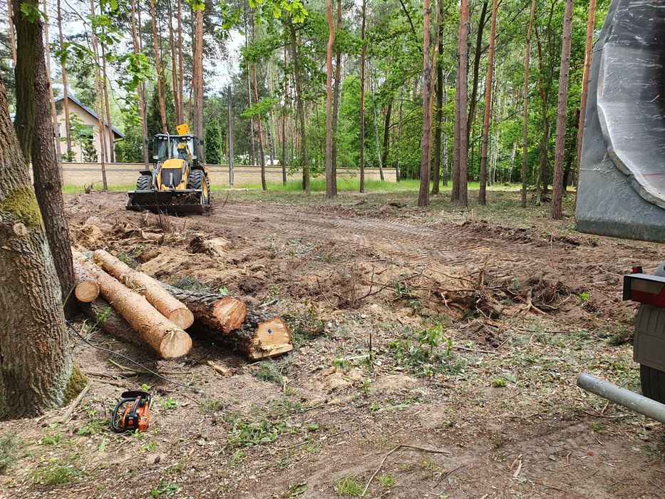Wycinka drzew, czyszczenie działek, mulczer leśny