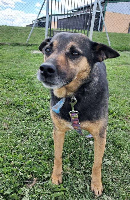 Ajron 9 lat czeka na dom...