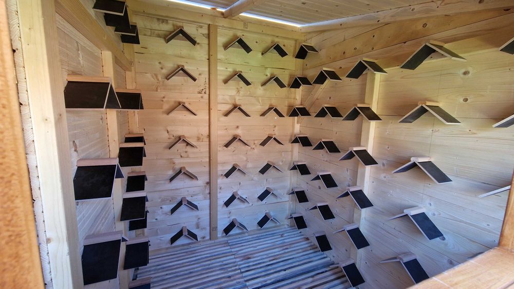 Gołębnik 5x2m z wolierą 5x2m Cena z MONTAŻEM