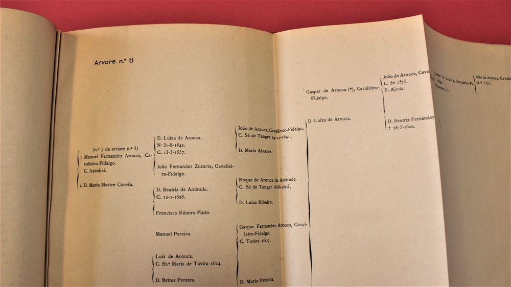 Arvores de Costado genealogia de Simão de Gusmão Correia Arouca