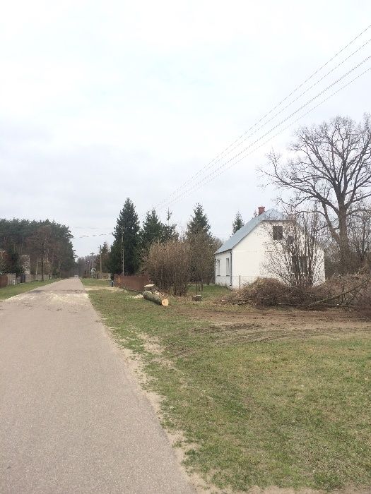 Wycinka,pielęgnacja,drzew,frezowanie,usuwanie karp,rębak,podnośnik