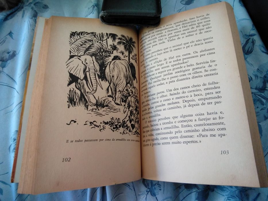 Aventura com os elefantes