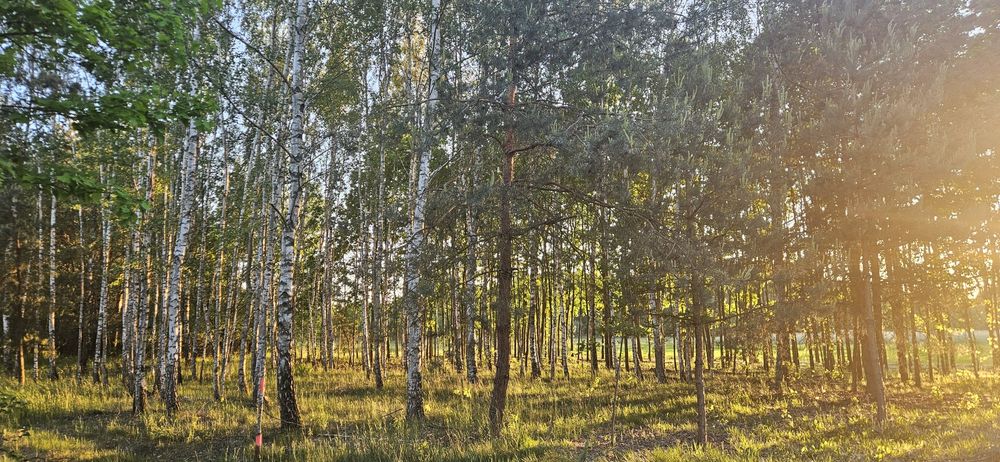 Działka bud. 2900 M2; Łukawska Wola, WARUNKI ZABUDOWY - Widok 4