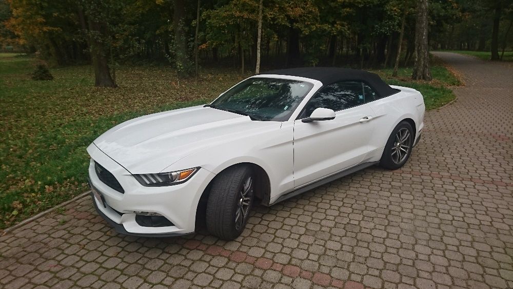 Wynajem Biały Ford Mustang Cabrio 2016 Do ślubu