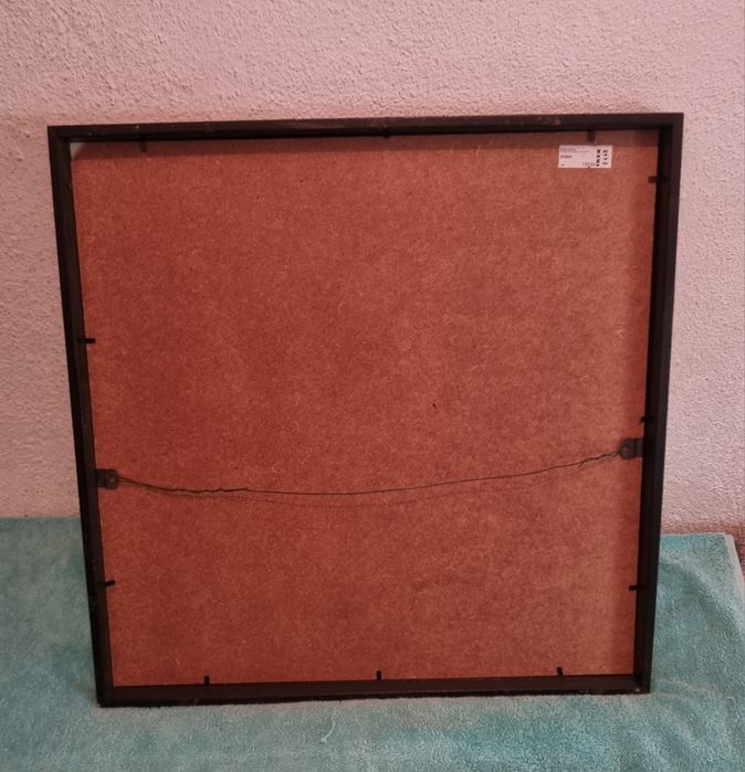 Quadro preto e branco Zebra