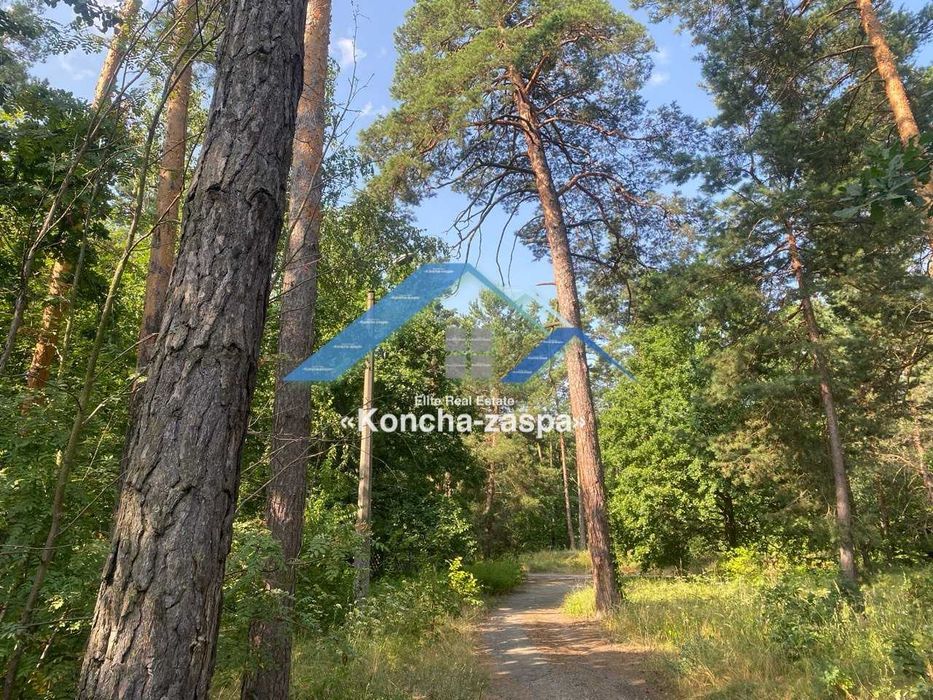 Ексклюзивна ділянка в лісовій частині. Козин. Конча Заспа