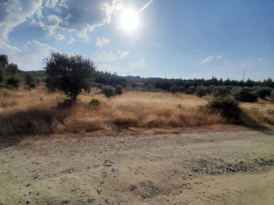 Terreno com Olival com aproximadamente 2,5 hectares em Olmos, Macedo de cavaleiros