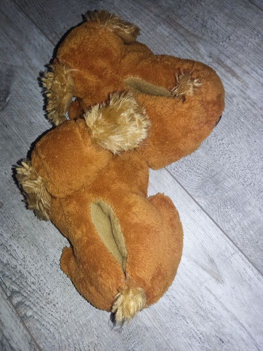 Nowe kapciuszki pieski