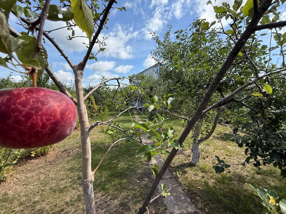 Продам 3 кім будинок в смт Баришівка, Київська область, Є ВІДЕООГЛЯД