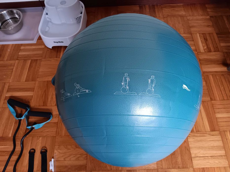 Bola de exercício CRIVIT + pesos para pernas/ braços 2kg DOMYOS