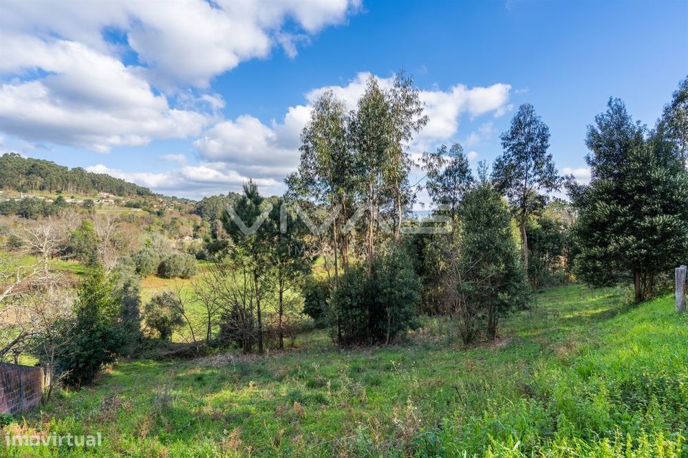 Terreno Rústico  Venda em Ribeira do Neiva,Vila Verde