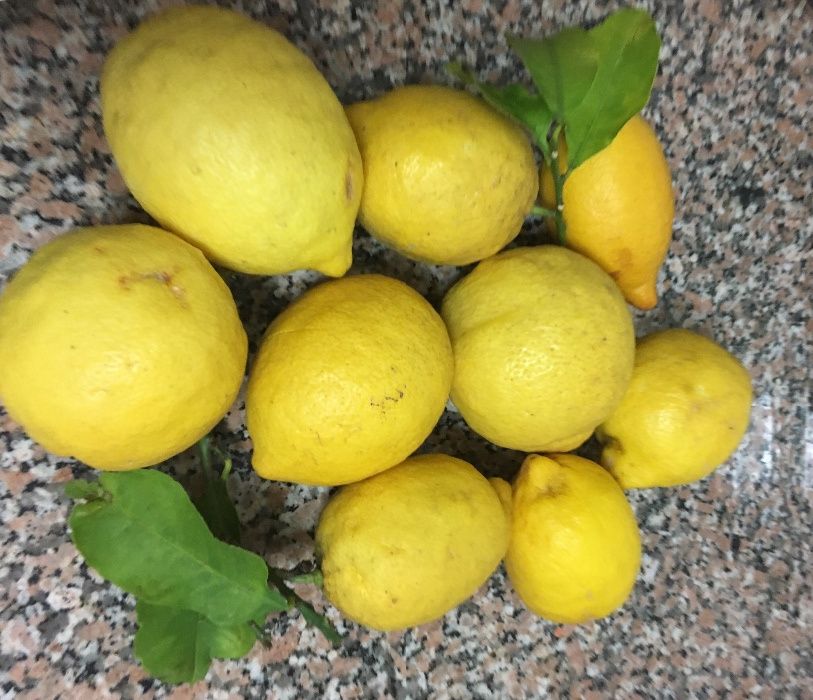 Vendo Limões Biológicos