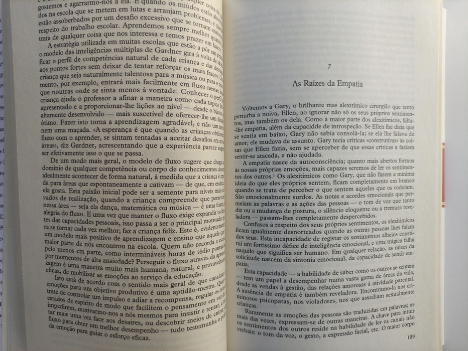 Inteligência Emocional