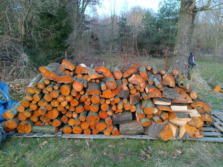 Drzewo olcha do kominka,pieca,wędzenia