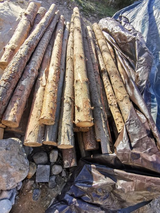 Słupki stemple, długość 2,5-3m, 12zł za sztukę