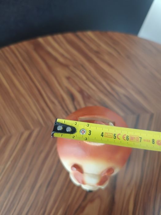 Skarbonka pies piesek