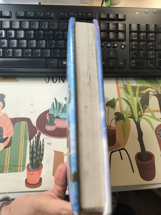 Livros infantis histórias Frozen rebuçado 4 anis