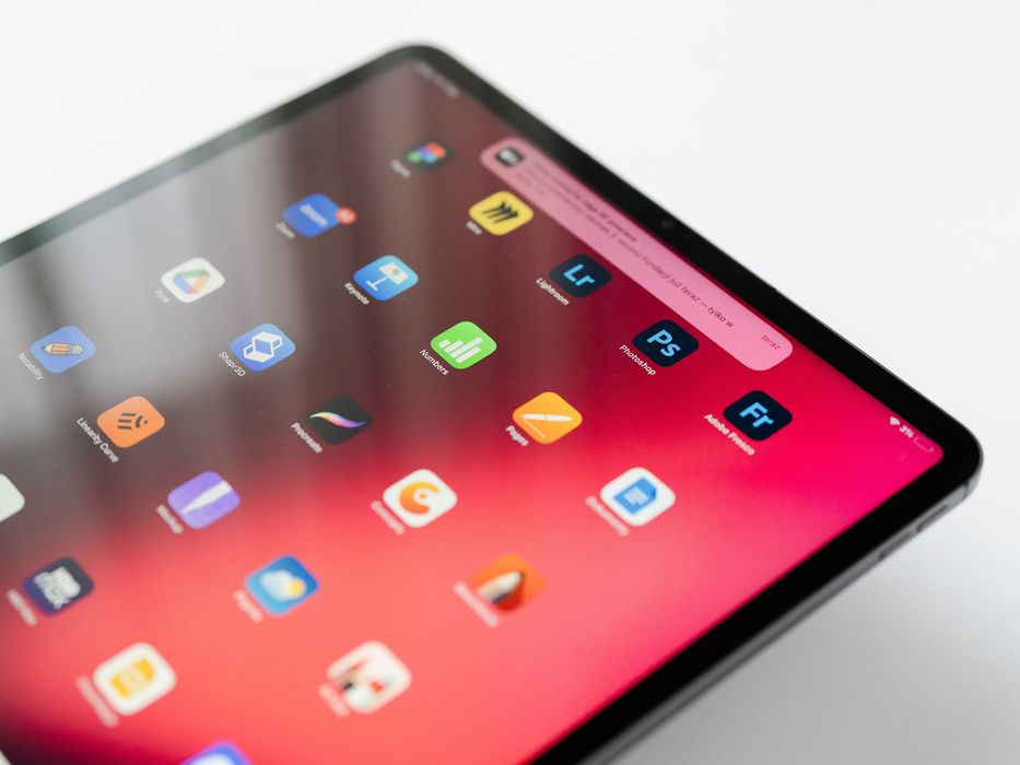 iPad Pro 12.9" M1 / 256GB / Cellular