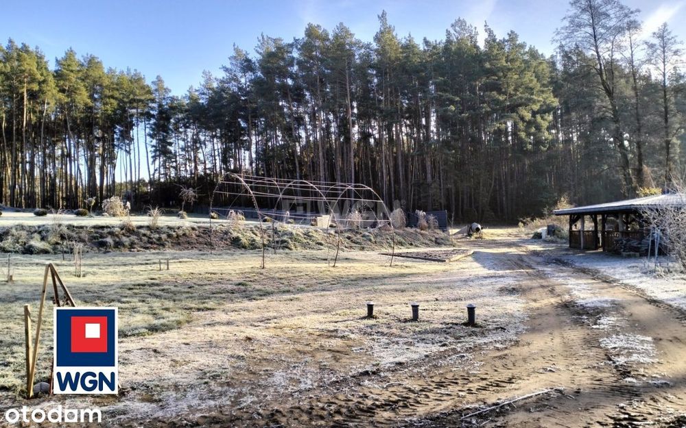 Posiadłość- dom w budowie z linią brzegową jeziora