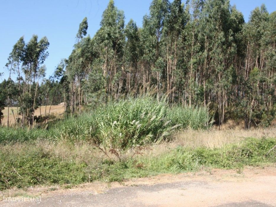 Terreno para construção em Casal do Rei - Rio Maior / Caldas da Rainha