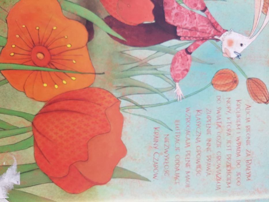 Książka Alicja w Krainie Czarów artystyczne wydanie