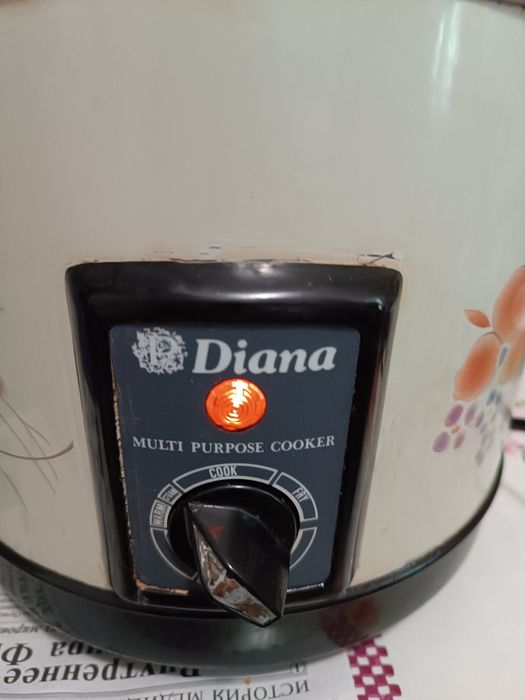 Фритюрница Diana и вертел для духовки Ardo