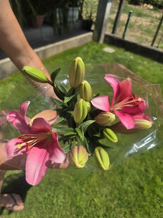 Venda de flores em viseu