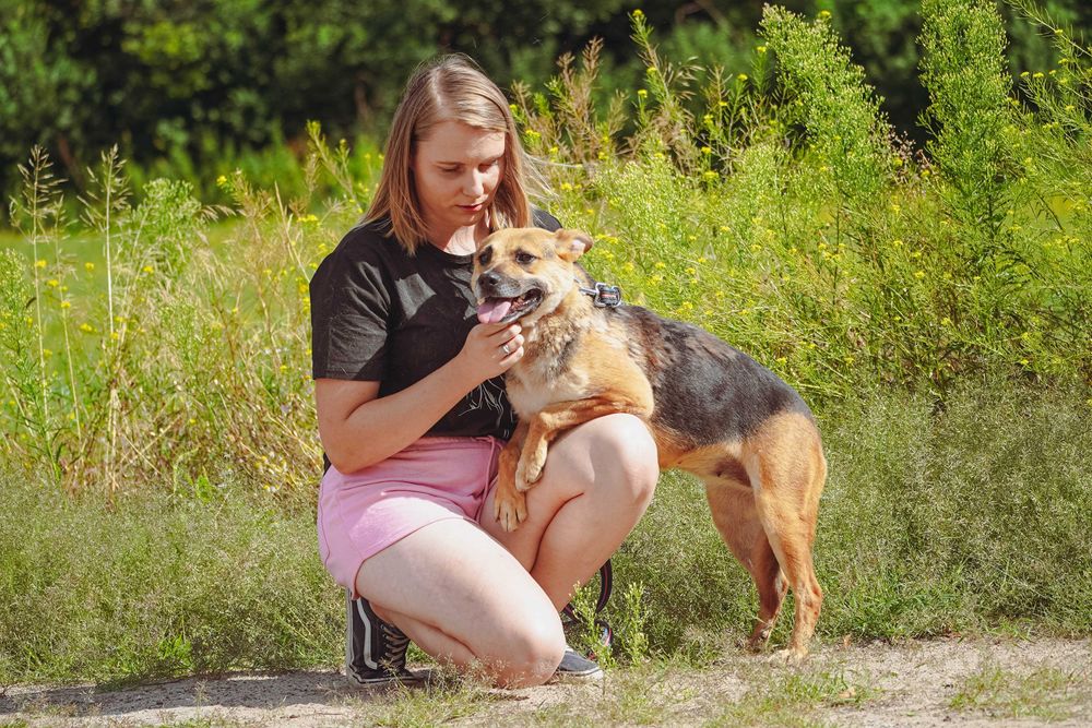 Albania - śliczna sunia czeka na dom