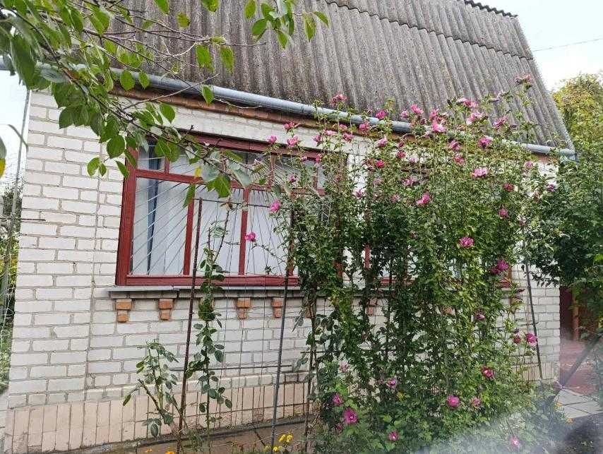 дача в передмісті Житомира