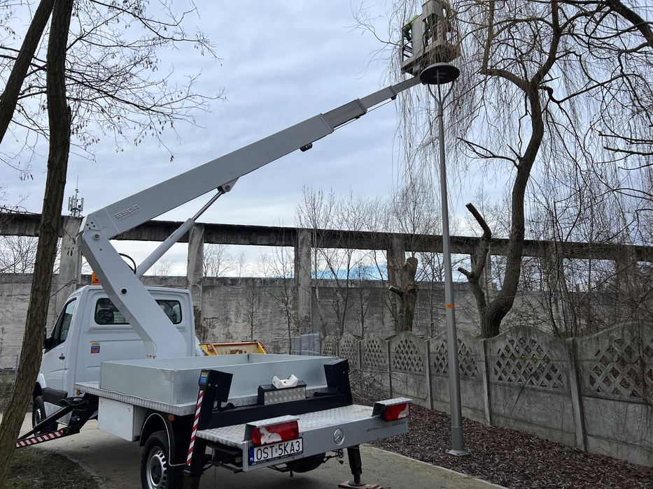 Wycinka drzew, krzaków, podcinanie drzew z podnośnika