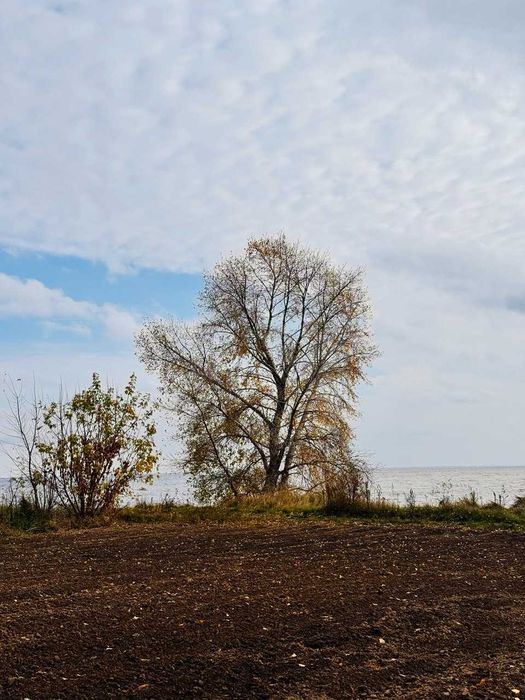 Продаж будинку на березі Київського моря, Козаровичи без %