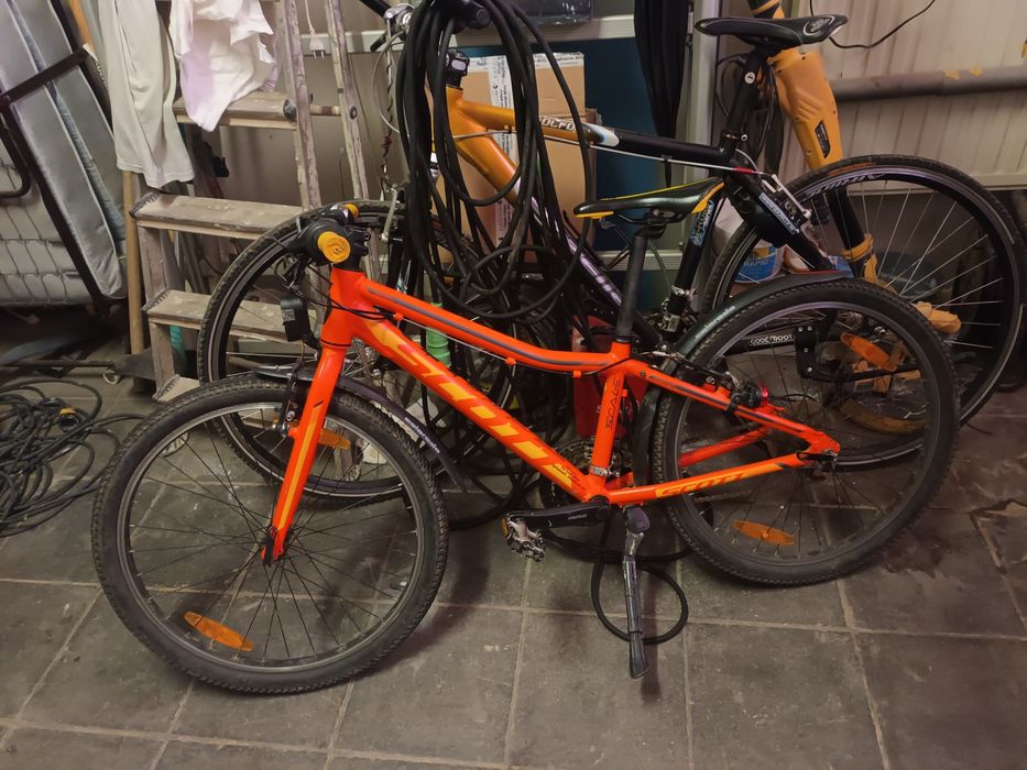 Rower Cube  skoot 24"