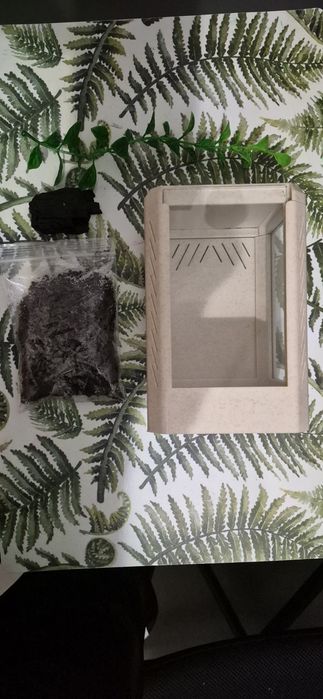 Terrarium super na początek zestaw