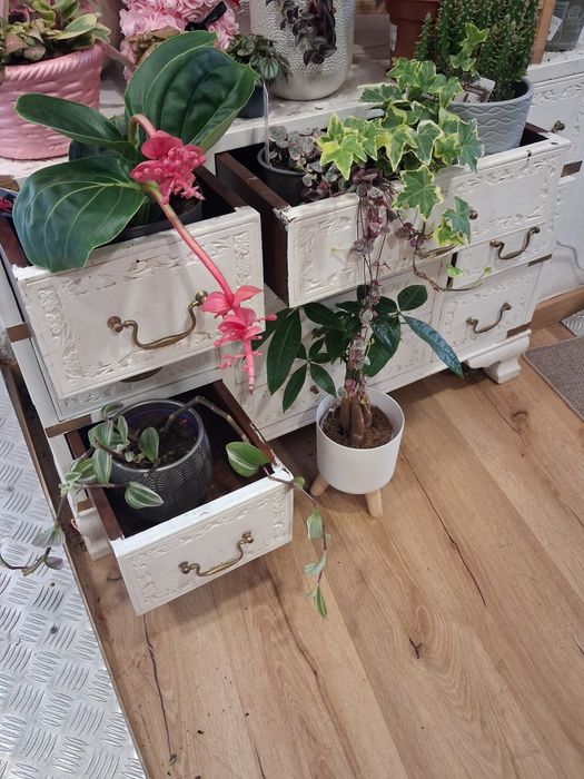 Móveis restaurados estilo vintage