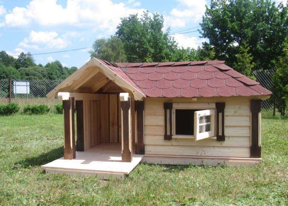 Unikalna buda dla psa! Rękodzieło bernardyn