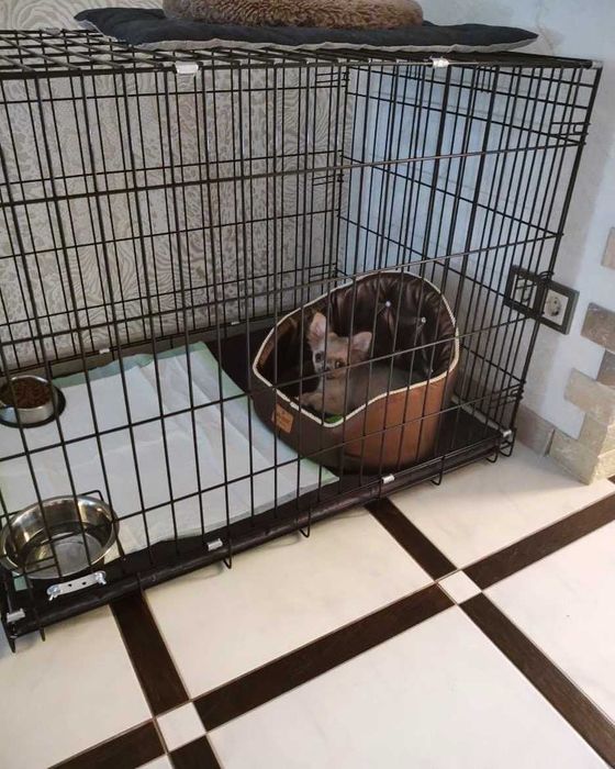 Клітка клетка S-XXL переноска вольєр будка для собак цуценя кішки