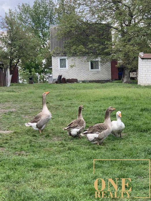 Продаж будинку, Київська обл, Мала Супоївка з ділянкою 55,3 сотки