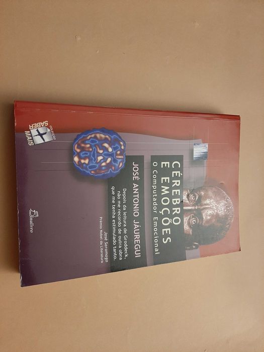 Cérebro e Emoções: o Computador Emocional