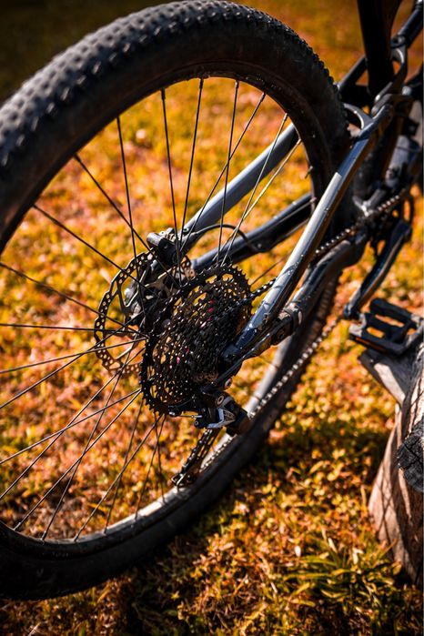 Cannondale Habit 5