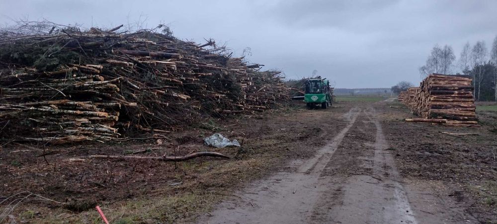 biomasa#wycinka  lasów#drzew#las#mulczowanie