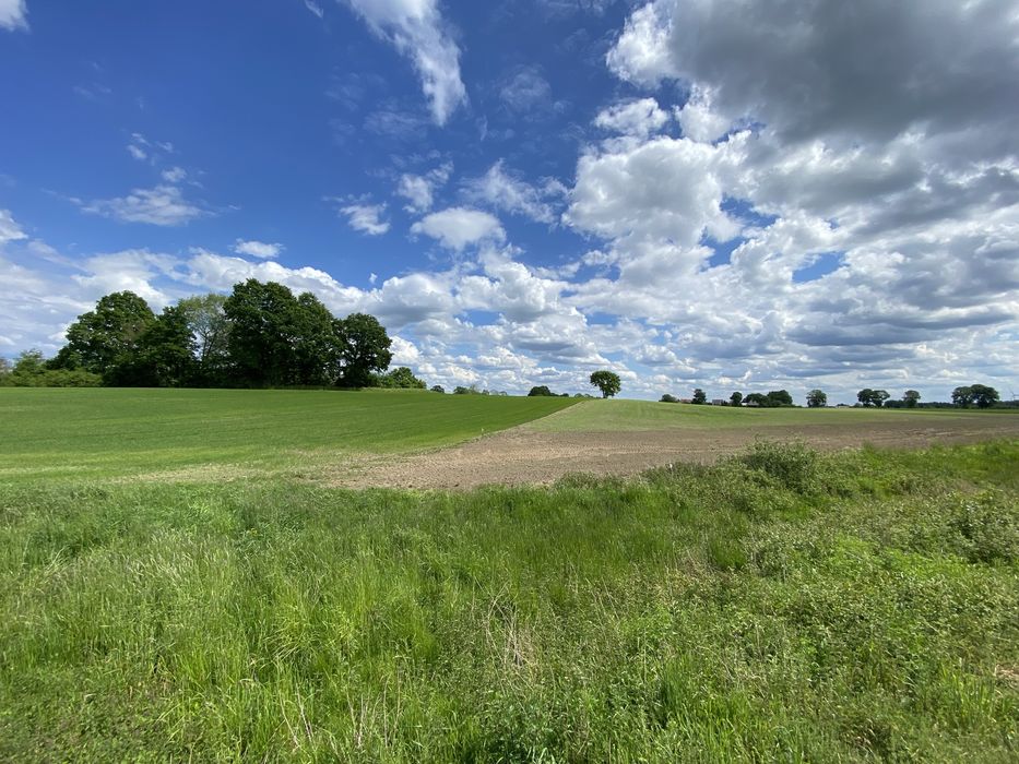 Dzialka budowlana na sprzedaz Daszewo