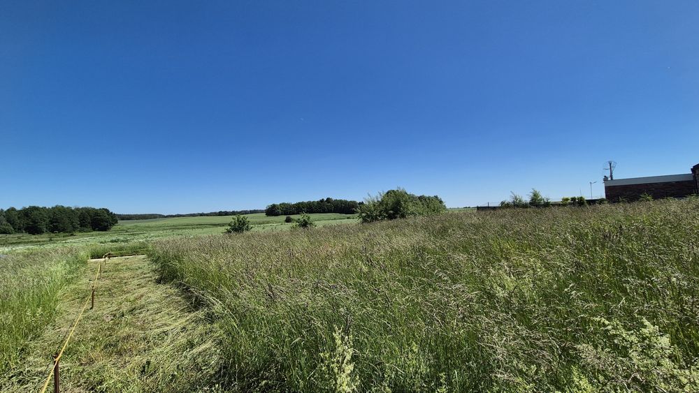 Atrakcyjna działka budowlana przy Lesie Miejskim w Giżycku 1519 m² warunki zabudowy WZ - Widok 4