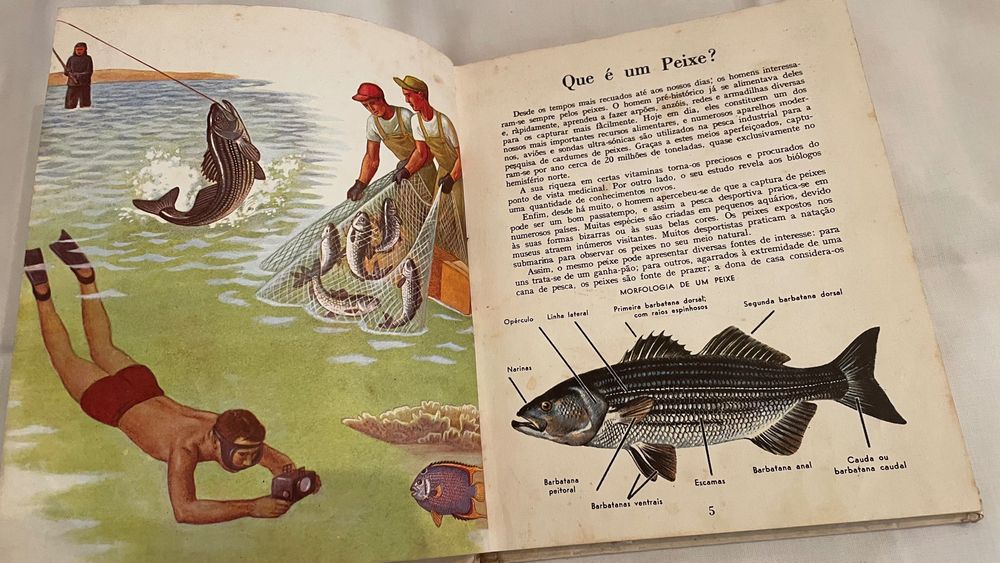 Livro Os Peixes, Editorial Verbo