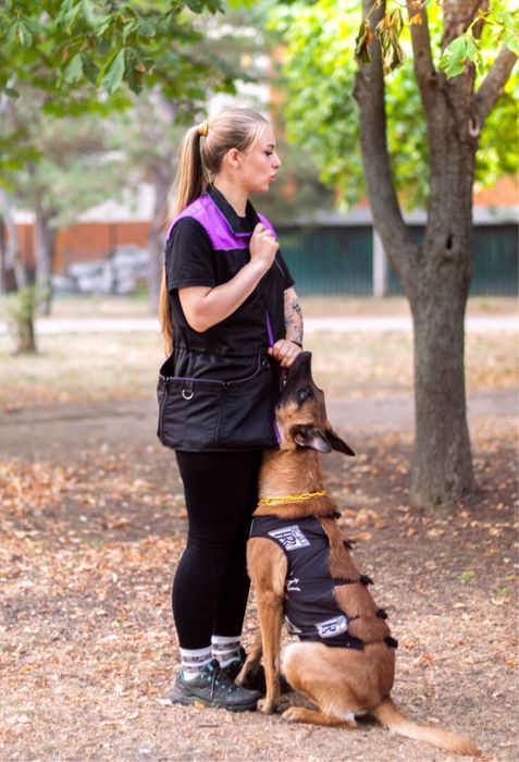 Кінолог онлайн, дрессерування