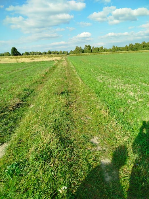 Działka rolna na sprzedaż