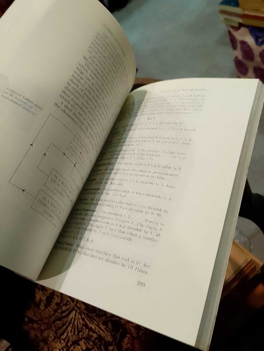 The Mathematical Experience - Philip J. Davis e Reuben Hersh