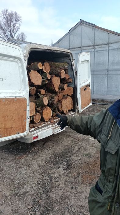 Рубана сосна суха дрова